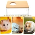 thumbnail image 3 of IFANLANDOR Piscine de Sable pour Hamster Transparent Respirant Écureuils 1Ensemble, 3 of 6