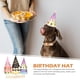 thumbnail image 4 of 10pcs adorables sombreros de cumpleaños para perros, 4 of 5