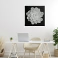 thumbnail image 2 of Pure White Succulent Contrast Canvas Wall Art, design by Phillip Flowers, 2 of 8