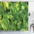 thumbnail image 1 of Ambesonne Philodendron Shower Curtain, Photo of Tropic Botany, 69"Wx84"L, Yellow Olive Green, 1 of 2