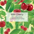 thumbnail image 3 of LITTLE TREES air freshener Wild Cherry 3-Pack, 3 of 8