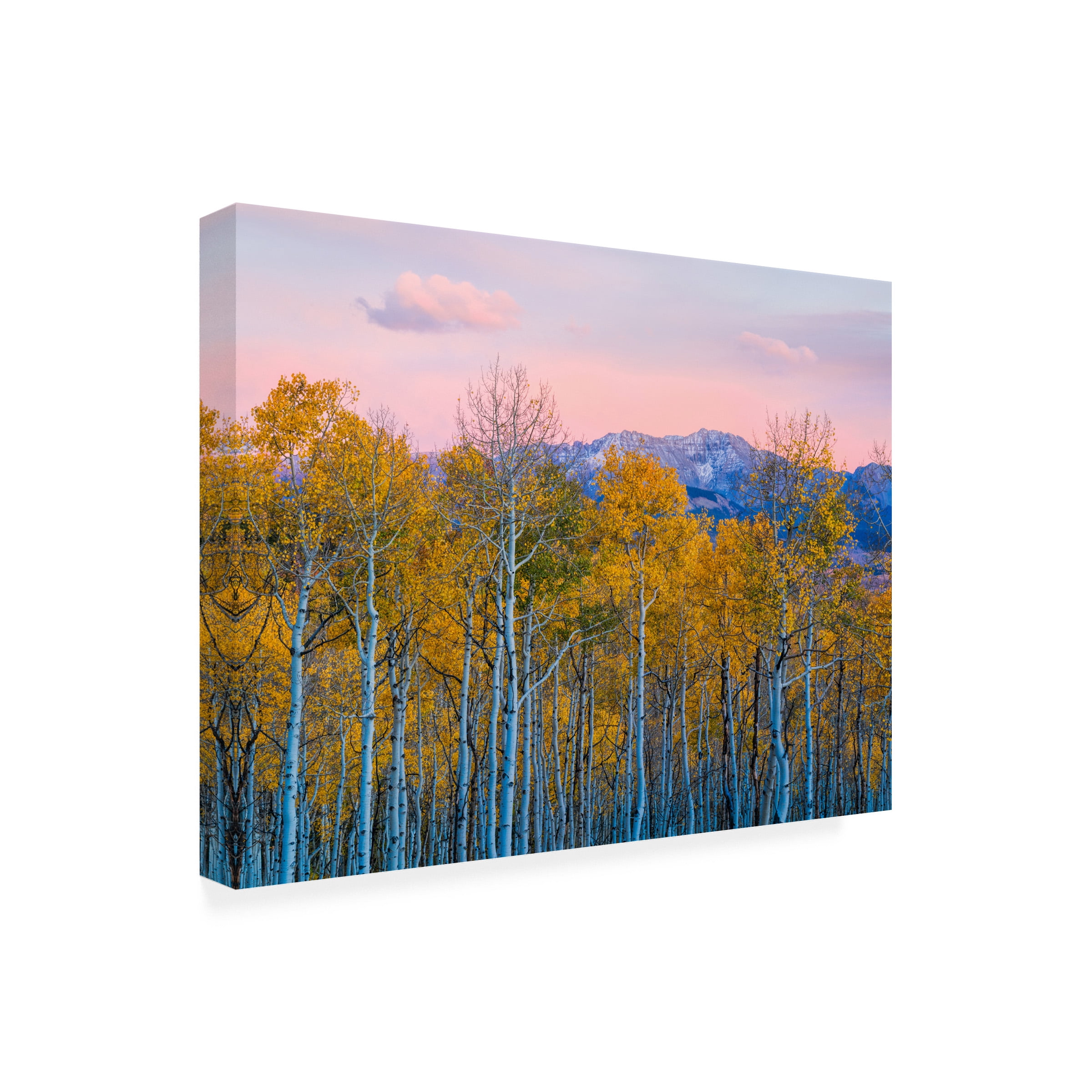 John Fan 'Autumn Delight' Canvas Art