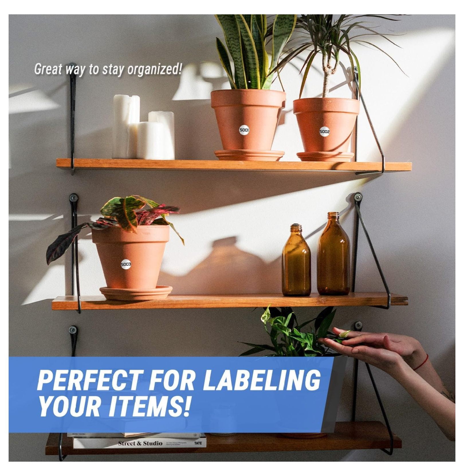 Consecutive Number Labels 5001-6000 - 1 Inch Round Stickers, 1000 Count