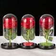 thumbnail image 4 of Coofit Valentine Rose Dome Realistic - LED Festive Light up Rose Flower in Glass Dome, 4 of 10