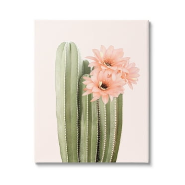 Stupell Industries Pink Flower on Cactus Botanical & Floral Painting Gallery Wrapped Canvas Print Wall Art, 24 x 30