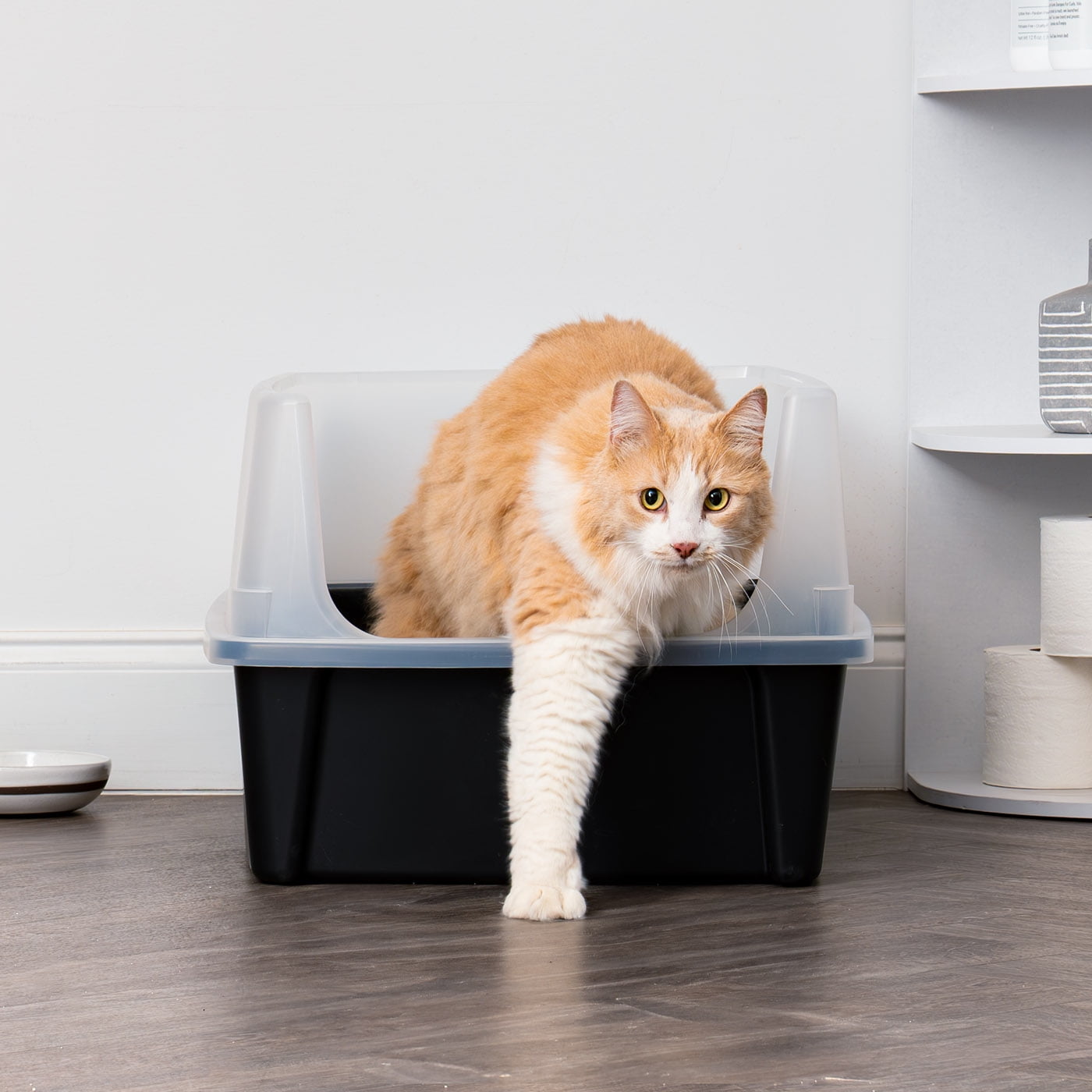 IRIS Extra Large Open Top Cat Litter Box with Scatter Shield, Sturdy Open Air Kitty Litter Pan with Tall Spray, Black