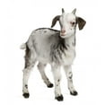 thumbnail image 2 of Rove Goat Kid 1 Wall Decal by Wallmonkeys Peel and Stick Graphic (48 in H x 42 in W) WM53076, 2 of 4