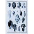 thumbnail image 2 of Sowerby, G.B. 13x18 Gold Ornate Wood Framed with Double Matting Museum Art Print Titled - Shells: Convoltae and Orthocerata (Blue), 2 of 4
