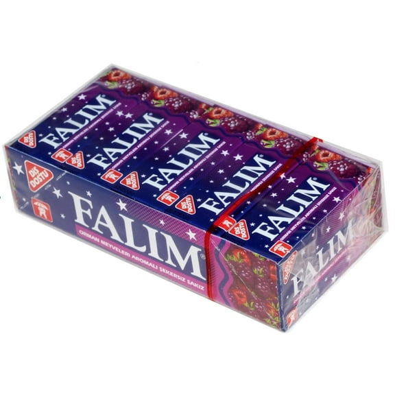 Falim Plain Gum, Forrest Fruits Flavoured (20 Pack (100 Pieces))