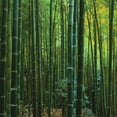 thumbnail image 6 of Orinice Bamboo Forest Round Table Cover Stain Resistant Washable Indoor Outdoor Tablecloth Kitchen Dining Wedding Parties Waterproof 100% Polyester Fiber 31-35, 6 of 8