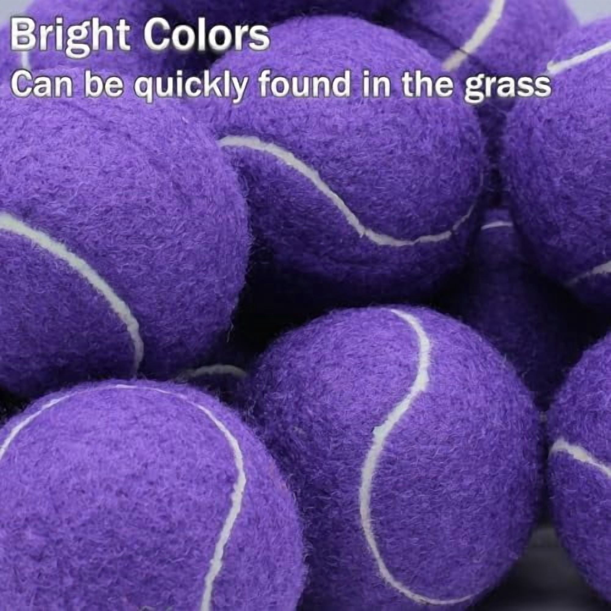 Tennis Balls, 20 Pack Training Tennis Balls,High Elasticity Practice Tennis for Beginner, Exercise Playing Balls for Pet Dog Purple