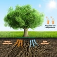 thumbnail image 5 of Uxcell 2pcs Tree Mulch Ring 32.3 Inch Non-Woven Round Tree Protector Weed Barrier Mat Plant Cover Rings for Weed Grass Control Root Protection, Green, 5 of 7