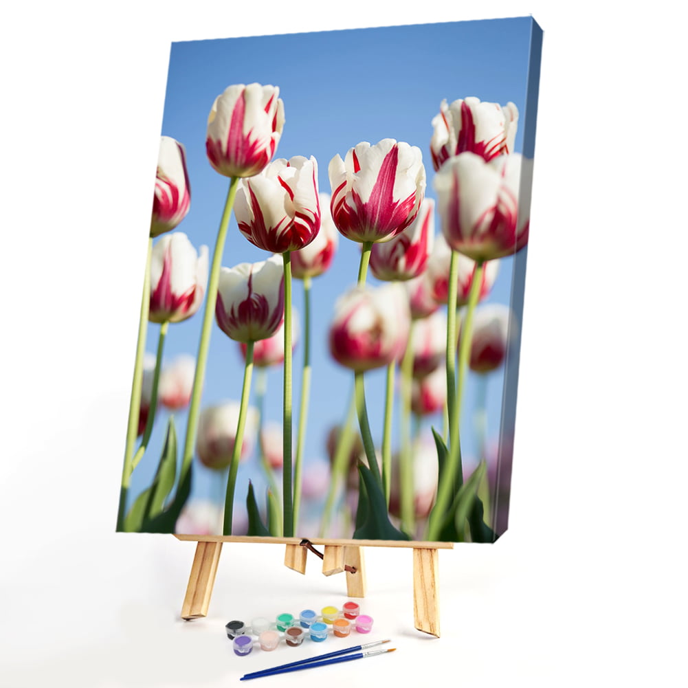 DIY Digital Oil Painting By Numbers Kit Colorful Flowers Drawing On Canvas Decor 