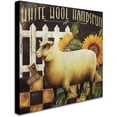 thumbnail image 2 of Trademark Fine Art "Sheep " Canvas Art by Color Bakery, 2 of 3