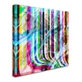 thumbnail image 2 of Trademark Fine Art 'Pop Curtain' Canvas Art by ALI Chris, 2 of 3