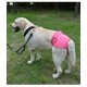 thumbnail image 5 of Pañales reutilizables para perros - Pañales para perros hembra - Pañales absorbentes para perros - Pañales para perros - 2 piezas - Múltiples colores, 5 of 5
