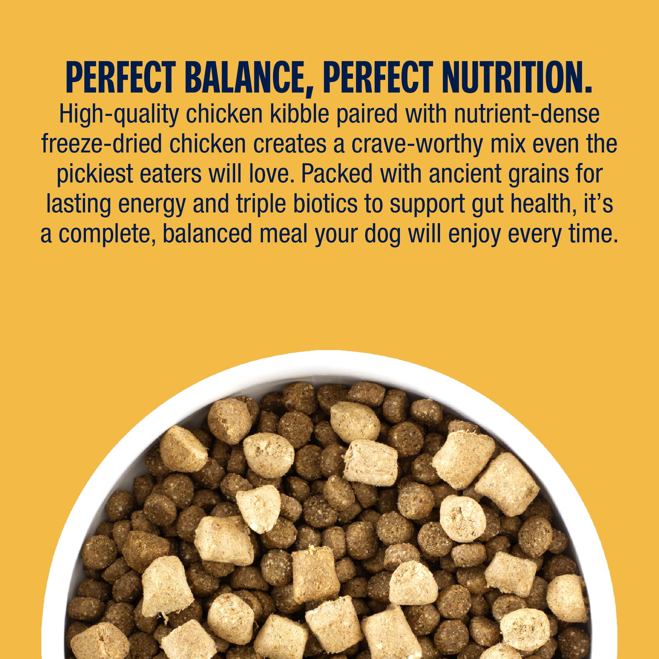 (4 pack) Muenster Perfect Balance Chicken Kibble and Chicken Bites Freeze Dried Dog Food, All Life Stages, 3.5 lb Bag