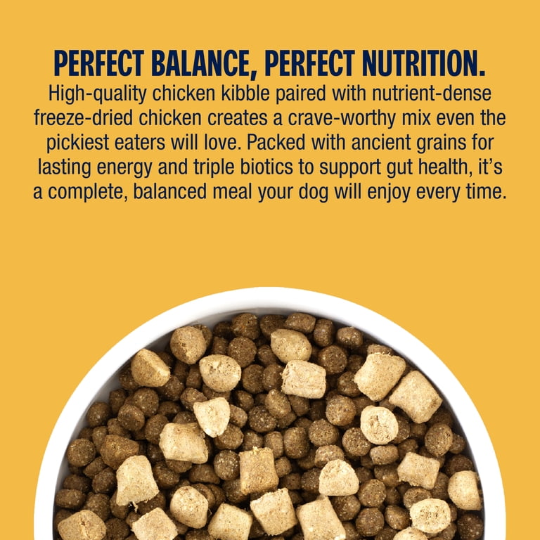 Muenster Perfect Balance Chicken Kibble with Freeze-Dried Bites, 3.5 lb photo 7