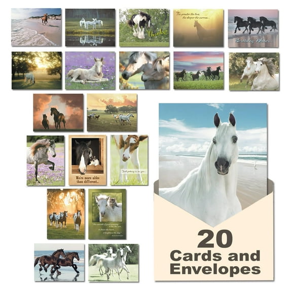 Leanin' Tree Horse Country Made in USA 20 Assorted Cards with Envelopes All Occasion, Greeting Cards Assortment Box Includes Birthday, Blank Notecards with Envelope, Thank You, Sympathy and More