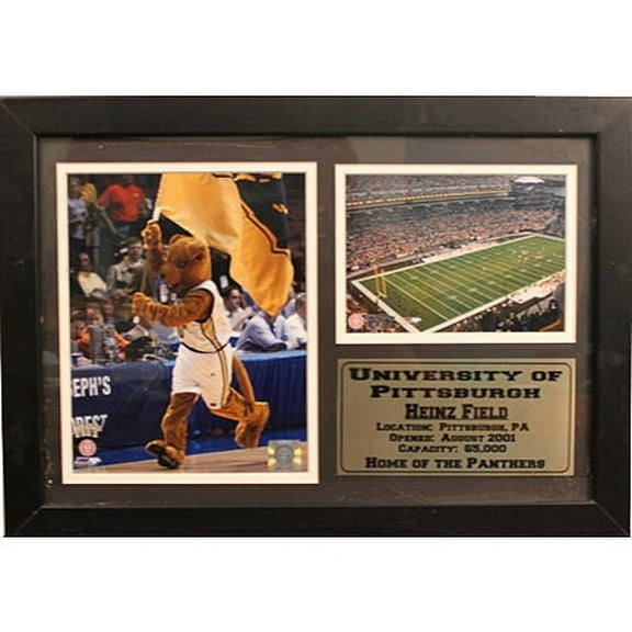 NCAA Pitt Photo Stat Frame, 12x18