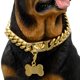 thumbnail image 1 of Collar de cadena para perro dorado, collar de cadena de metal para caminar con diseño de hebilla segura, eslabón cubano de 18 quilates, resistente, a prueba de masticar para perros medianos (14 mm, 10, 1 of 1