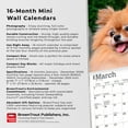 thumbnail image 6 of Pomeranians | 2026 7x14" (Hanging) Monthly Mini Wall Calendar | BrownTrout, 6 of 9