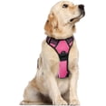thumbnail image 1 of Rabbitgoo Arnés para Perros, Arnés para Mascotas Sin Tirones con 2 Clips para Correa, Chaleco Acolchado Suave Ajustable para Perros, Chaleco Oxford Reflectante para Mascotas sin Estrangulamiento con M, 1 of 4