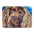 thumbnail image 1 of Carolines Treasures 7402RUG Boykin Spaniel Tapis en Mousse à Mémoire de Forme Lavable en Machine, 1 of 4
