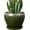 Dark Green, variant on Ceramic Plant Pot 8 Inch, Glaze White and Black