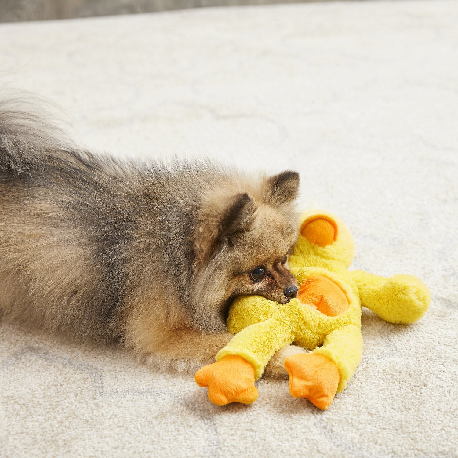 dog toy with toy inside