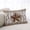Brown off White, variant on Farmhouse Texas Star Brown Throw Pillow Covers, Berry Vintage Wooden Soft Breathable Pillow Cases with Invisible Zipper for Sleeping, Toddler Pillowcases for Couch Bed Sofa Chair 12x20 Inches