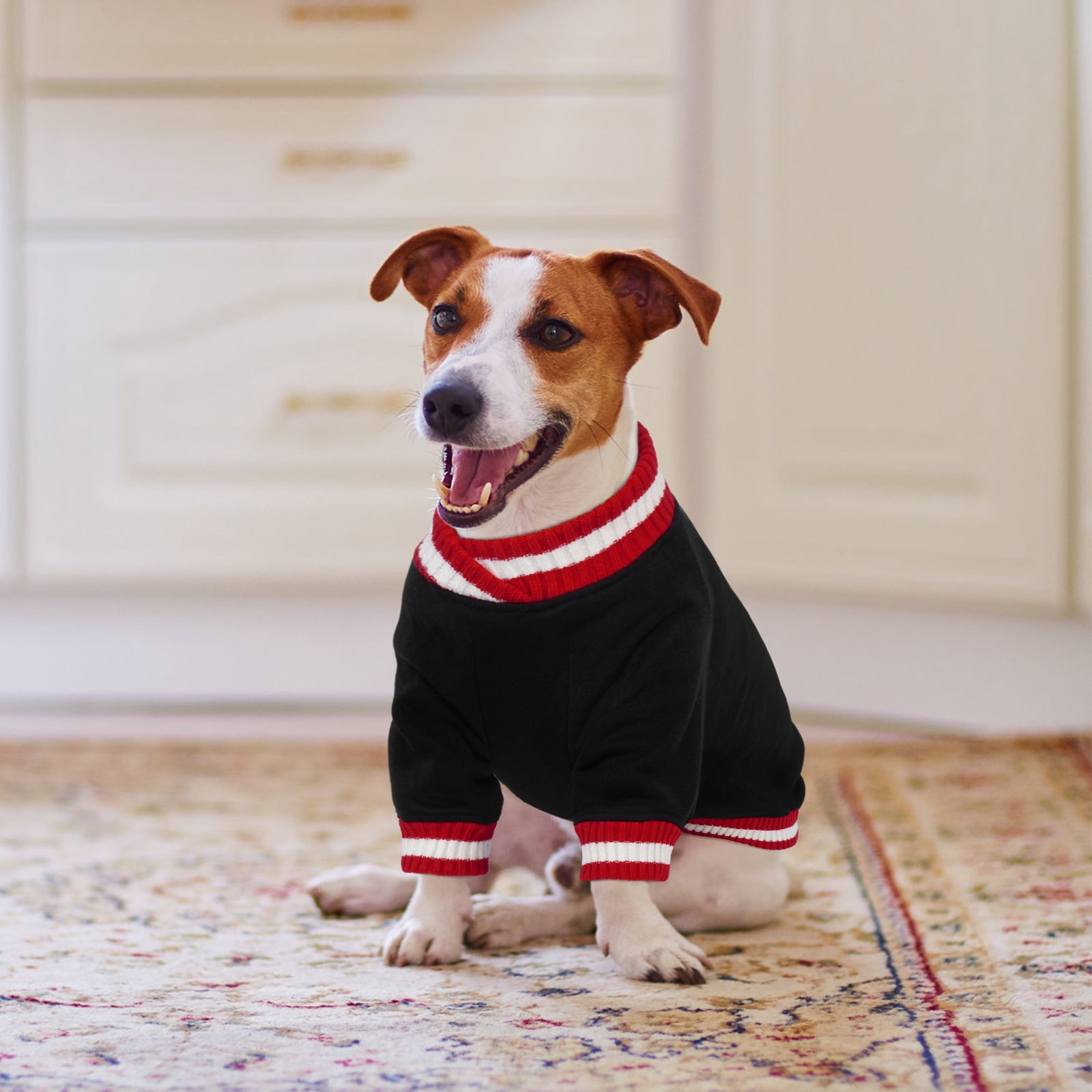 Kuoser Dog Winter Sweater, Cute Pet Pullover Vest, Soft and Thick Sweatshirt for Dogs and Cats, Black, M