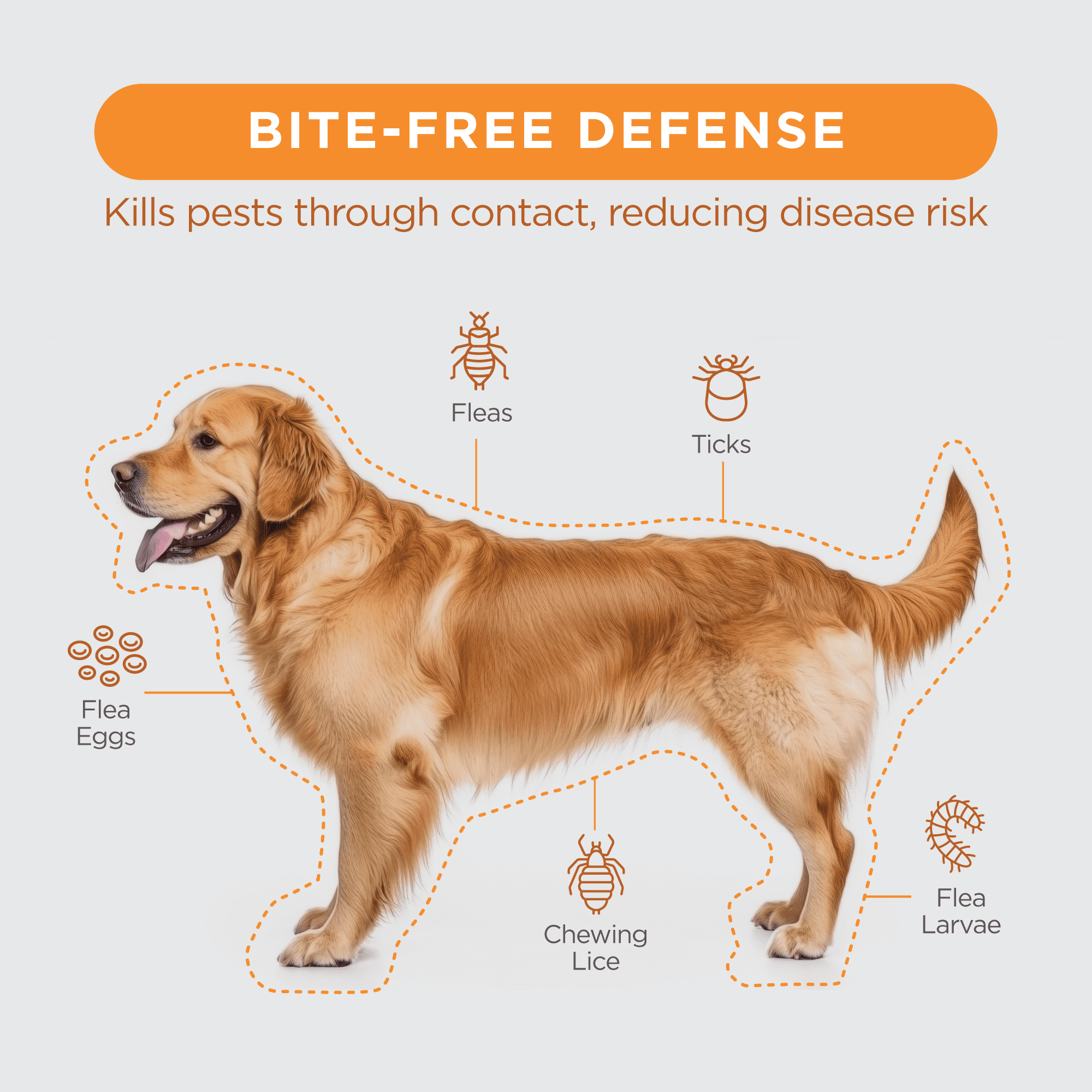 TevraPet FirstAct Plus Flea and Tick Prevention for Small Dogs 6-22 lbs, 6 Monthly Doses, Topical Drops