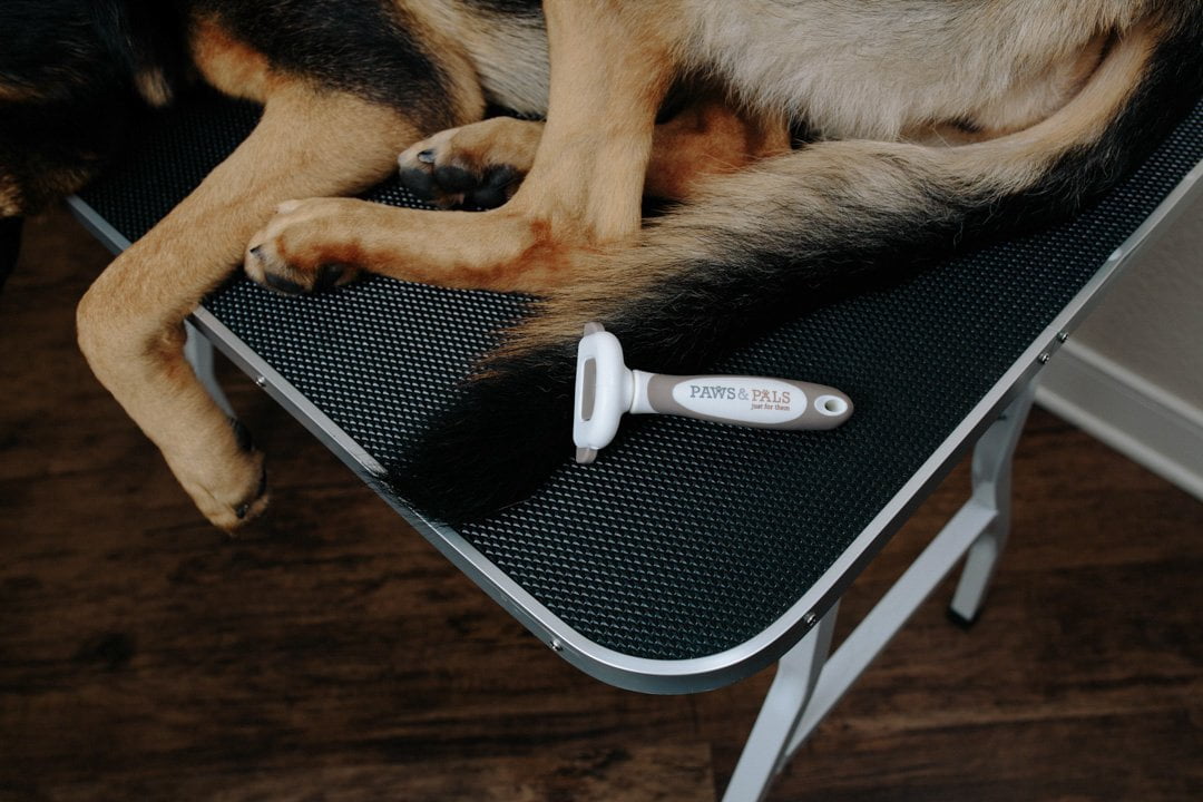 paws and pals deshedding tool