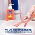 thumbnail image 6 of Dial Antibacterial Seasonal Limited Edition Peach Citrus Punch Liquid Hand Soap, 11 fl oz, 6 of 13