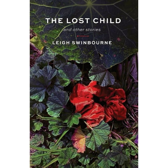 The Lost Child: and other stories, (Paperback)