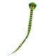 thumbnail image 4 of Ounissouiy Cometa de fibra de vidrio con forma de Animal portátil, cometas de cola larga, actividad al aire libre, jardín, patio delantero, Juegos de césped 15m, 4 of 6