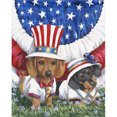 thumbnail image 1 of Pintura de diamante (DE6660) 5D Kit Rhinestone DIY Bandera Perro Adornos cuadrados 40x50cm FLhrweasw Nuevo, 1 of 1