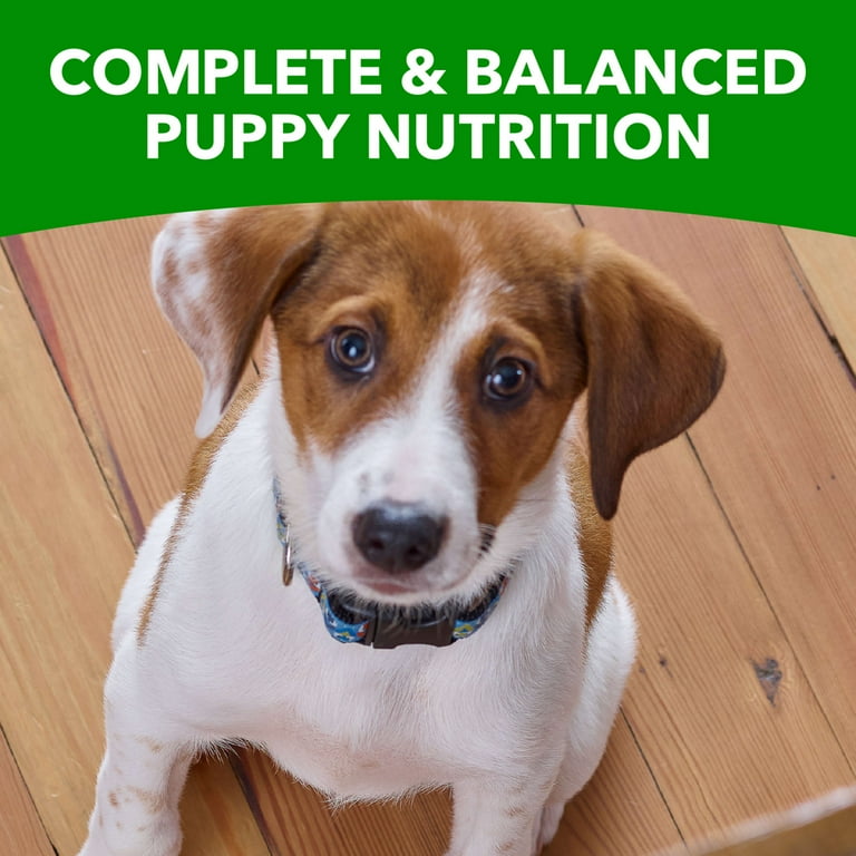 Iams Proactive Health Smart Puppy Small Breed Dry Dog Food With Real Chicken 7 Lb. Bag
