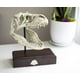 thumbnail image 5 of Réplica de calavera de Tyrannosaurus Rex Jurassic World, 23 x 20 cm, resina, 5 of 7
