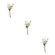 thumbnail image 5 of Cateissary Durabilidad y encanto duraderos en ramo de flores secas naturales flor seca en relieve elegante HS-11, 5 of 6