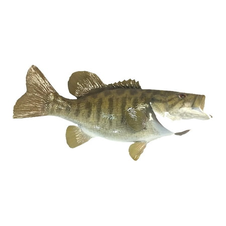 Mounted Small Mouth Bass Fish Reproduction Animal Wall Statue Home or Office