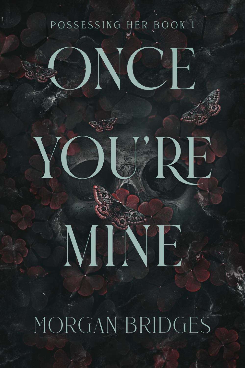 Once You're Mine: A Dark Stalker Romance (Paperback)