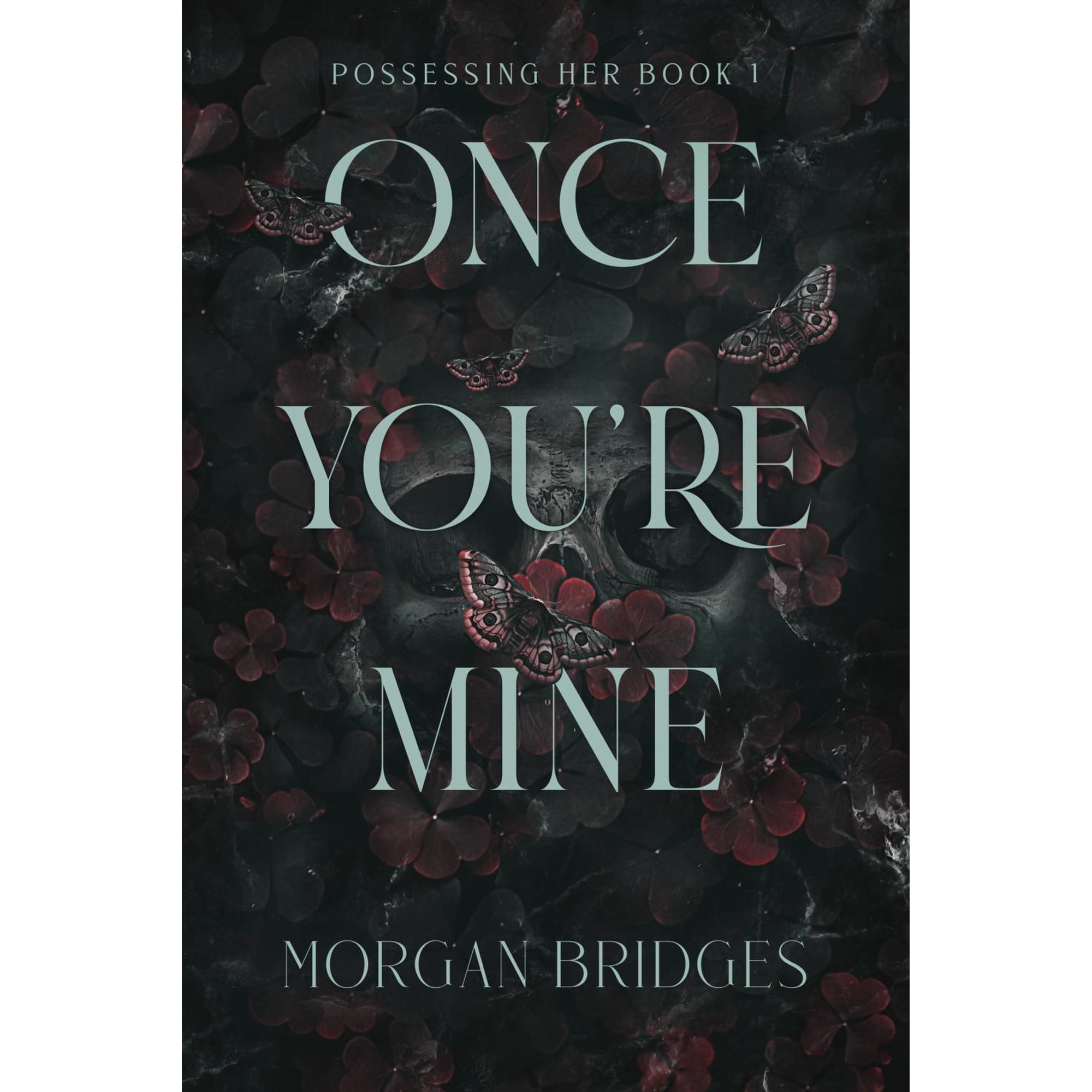 Once You're Mine: A Dark Stalker Romance (Paperback)