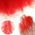 thumbnail image 5 of 400PCS Colored Feathers 4-6in, 8 Colors Ostrich Feathers for DIY Crafts Dream Catcher Art Earrings Carnival Costumes Wedding Holiday Party Decorations, 5 of 7