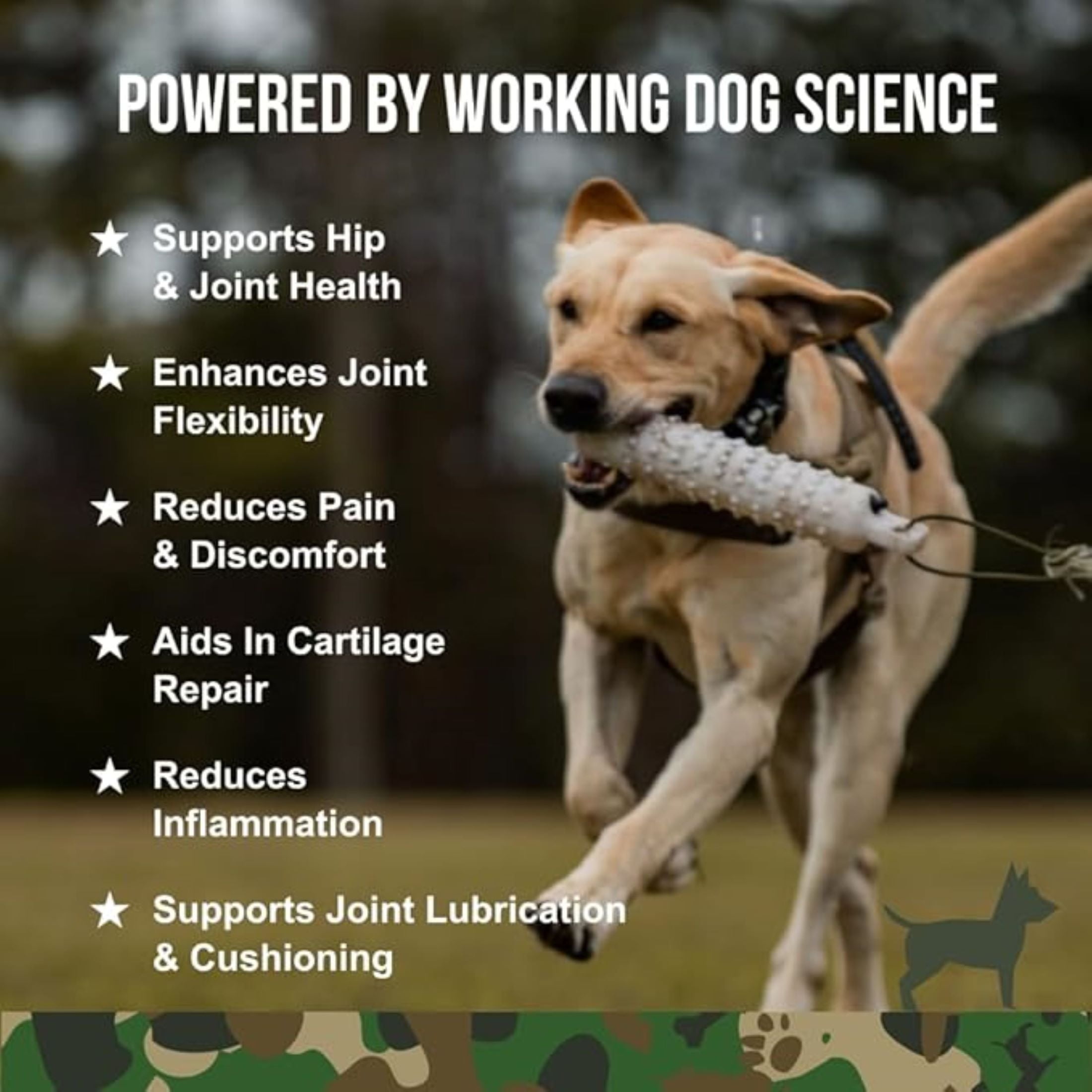 (6 pack) Operation Good Boy Hip & Joint Supplements for Dogs, with Glucosamine, Beef Liver Flavor Soft Chews, 60 Count