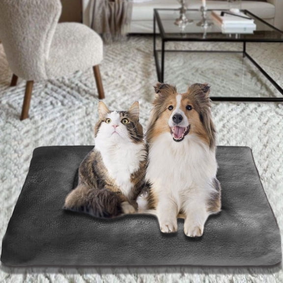 Apmemiss Small Waterproof Orthopedic Dog Bed with Plush Pad, Gray