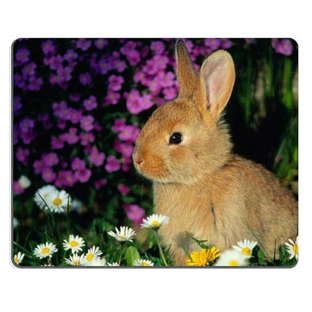 POPCreation Animal Rabbit Bunny Flower Small Cute Night Mouse pads Gaming Mouse Pad 9.84x7.87