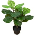 thumbnail image 4 of Northlight Two-Tone Fiddle Leaf Fig Artificial Potted Plant - 26" - Green, 4 of 8