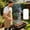 Pink, variant on HCBY Extendable BBQ Fork, Food Grade 304 Stainless Steel with Heat Resistant Wooden Handle, Telescopic Dual Prong Design, 6 Color Options for Outdoor BBQ and Campfire Roasting